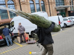 Ile kosztuje choinka? Za żywe drzewko zapłacimy nawet 800 zł