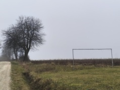 Nie nagrałem najpiękniejszego momentu w tym roku. I trochę tego żałuję