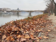Przestali grabić liście i liczą zyski. W Polsce nie do pomyślenia