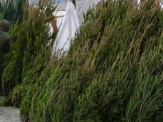 Czesi przed świętami przyjeżdżają na zakupy w Polsce. To kupują taniej