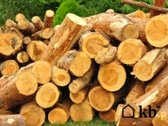 Palenie w kominku tą metodą daje nawet 30% więcej ciepła. To dzięki mniejszym stratom