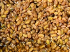 Zaparzam i piję ją rano i wieczorem. Czuję się lekko, a kilogramy lecą w dół