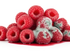 Fałszywe zdjęcia, prawdziwe straty:  AI niszczy  system reklamacji w sklepach online