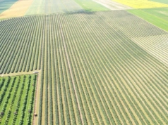 Czy będą dopłaty po 2027 roku? Sprawa rozstrzygnie się w ciągu najbliższych 9-10 miesięcy