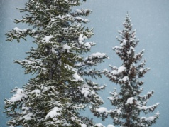 We wtorek sypnie śniegiem? To możliwe!
