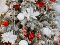 Rośliny zimą nie mają łatwo. Popularna ozdoba tylko im szkodzi. Lepiej się jej pozbyć