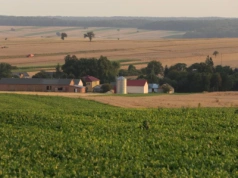 Ubezpieczenie budynków rolniczych to inwestycja w bezpieczeństwo gospodarstwa
