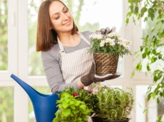 Nie wszystkie rośliny lubią podlewanie herbatą. Do tych możesz lać bez obaw