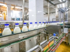 Chiny wprowadzają tymczasowe cła antysubsydyjne na produkty mleczne z Unii Europejskiej. Co z polskim eksportem?