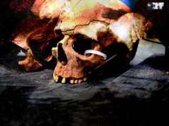 Efekt Nawrockiego? Ukraina zapewniła, że udzieli pozwoleń na dalsze ekshumacje