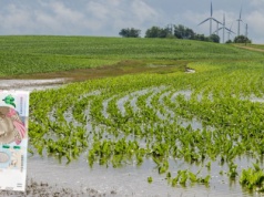 Wypłaty wsparcia klęskowego na ostatniej prostej