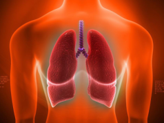 Ukryta moc prawidłowego oddychania: Jak techniki przeponowe poprawiają zdrowie, wydajność i jasność umysłu