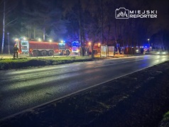 Ogień na działkach. Altanka stanęła w płomieniach