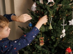 Choinka świąteczna, czyli nieoczywista tradycja