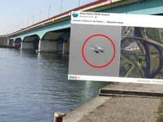 Delfiny w Odrze. Skąd się tam wzięły? Ekspert wskazuje możliwe przyczyny