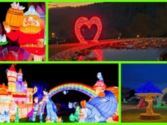 Zimowe ogrody świateł w Małopolsce. Gdzie czeka na Was najpiękniejsza magia zimy?