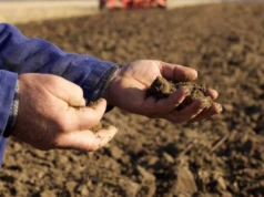 Podatek za samozbiory. Który rolnik zapłaci, a który nie?