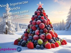 Wesołych, spokojnych i radosnych Świąt!