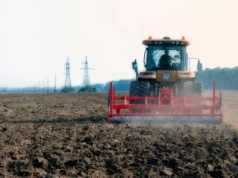 Rolnictwo węglowe w Irlandii: pierwszy krok do systemowych rozwiązań