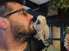 Wigilijny cud, czyli Czesio się odnalazł!