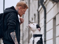 Pies i jego człowiek. "Staszek kładzie mi głowę na kolanach. Widzę te jego chude plecy"