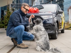 Przedświąteczny gest Forda: Transit Connect PHEV pomoże ratować zwierzęta z Fundacją Psia Krew i Animal Helper