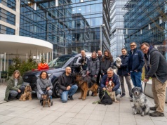 Ford i Fundacja Psia Krew łączą siły. Transit Connect pomoże ratować zwierzęta