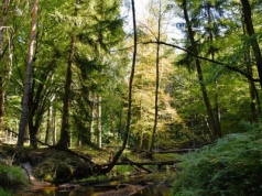 UE. Niebezpieczne „uproszczenia” prawa środowiskowego. Jest apel do premiera