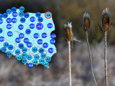 Pogoda na święta. Kilka regionów z szansą na uniknięcie mrozu