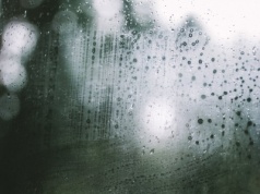 Masz krople wody na oknach? To pierwszy sygnał, że w mieszkaniu zaczyna się problem