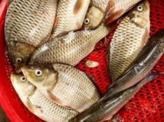 Nietypowe oferta sprzedaży. "Przygotowywane w wigilijny wieczór"