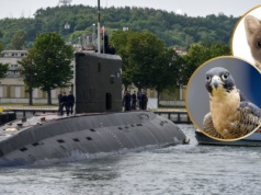 Kot, Kuna, a może Wydra? Jak nazwane będą nowe polskie okręty podwodne