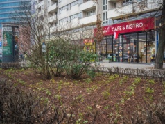 Zielone projekty z Budżetu Obywatelskiego. Jak zmienia się Warszawa?