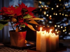 Od wigilii do Trzech Króli. Jak świętowano Boże Narodzenie na Warmii?