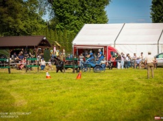 Nowe boisko wielofunkcyjne powstanie w Kornicach - oferty wykonawców wyższe od szacunków gminy