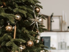 Gwiazdka z gwiazdami. Medialnie, ale i zwyczajnie