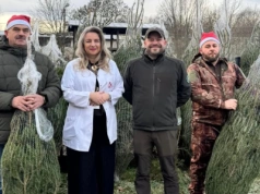 Choinki za dar życia. Przedświąteczna akcja krwiodawstwa w Siedlcach połączyła pomoc i świąteczną tradycję