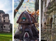 Magiczny las i ruiny najstarszego prywatnego zamku w Polsce
