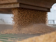 Ukraińska spółka z GPW dostała od Amerykanów pieniądze na fabrykę białka sojowego