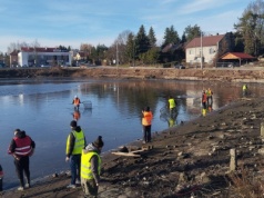 Rewitalizacja Stawu Browarnego w Łańcucie. „Betonoza”, 2 tony ryb i wycięte wspomnienia?