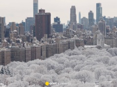 Silna burza śnieżna zagraża Nowemu Jorkowi i okolicy. Alerty dla 15 milionów osób