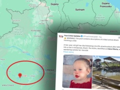 Makabryczny atak w wodzie. Dwulatka zaatakowana przez piranie w Brazylii