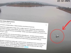 Szczecin odwiedziły morświny, pokazały się do zdjęcia, a następnie odpłynęły