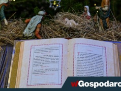 Św. Szczepan – pierwszy męczennik. Co o nim wiemy?