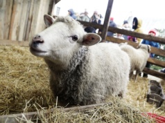 Żywa szopka w klasztorze przypomina o cudzie narodzin Mesjasza