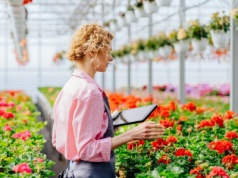 Godziny pracy w Holandii i związane z nimi przepisy