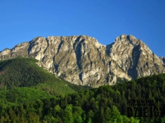 Pod koniec XIX wieku Tatry były prawie łyse – dziś mało kto o tym wie