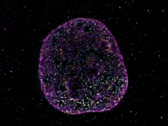 Odkryto ukryty język DNA! “Kod geometryczny” pomaga DNA w obliczeniach i zapamiętywaniu