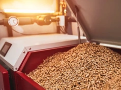 Pellet iglasty czy liściasty? Test pokazuje wyraźnego zwycięzcę