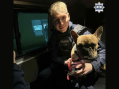 Przywiązany do drzewa w mroźną noc. Policjanci ruszyli psu na pomoc!